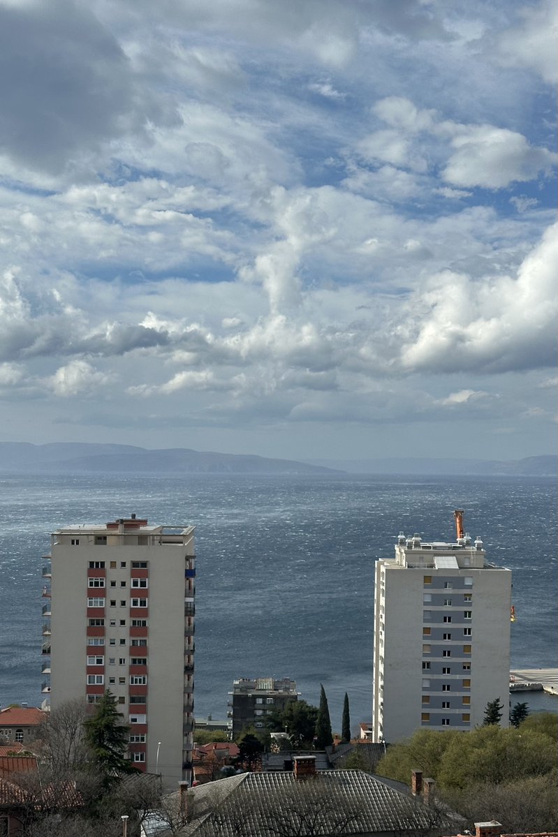 Robert Petković tweet media