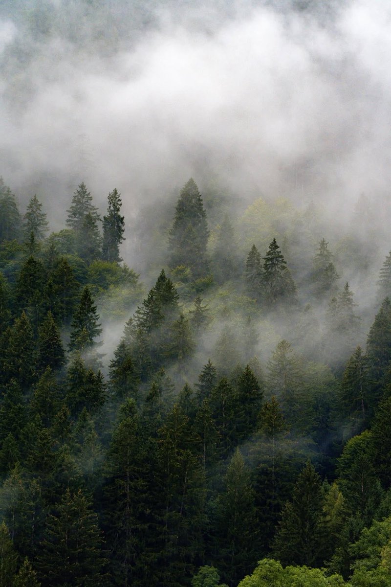 EXPLORING EARTH 🌍 tweet media