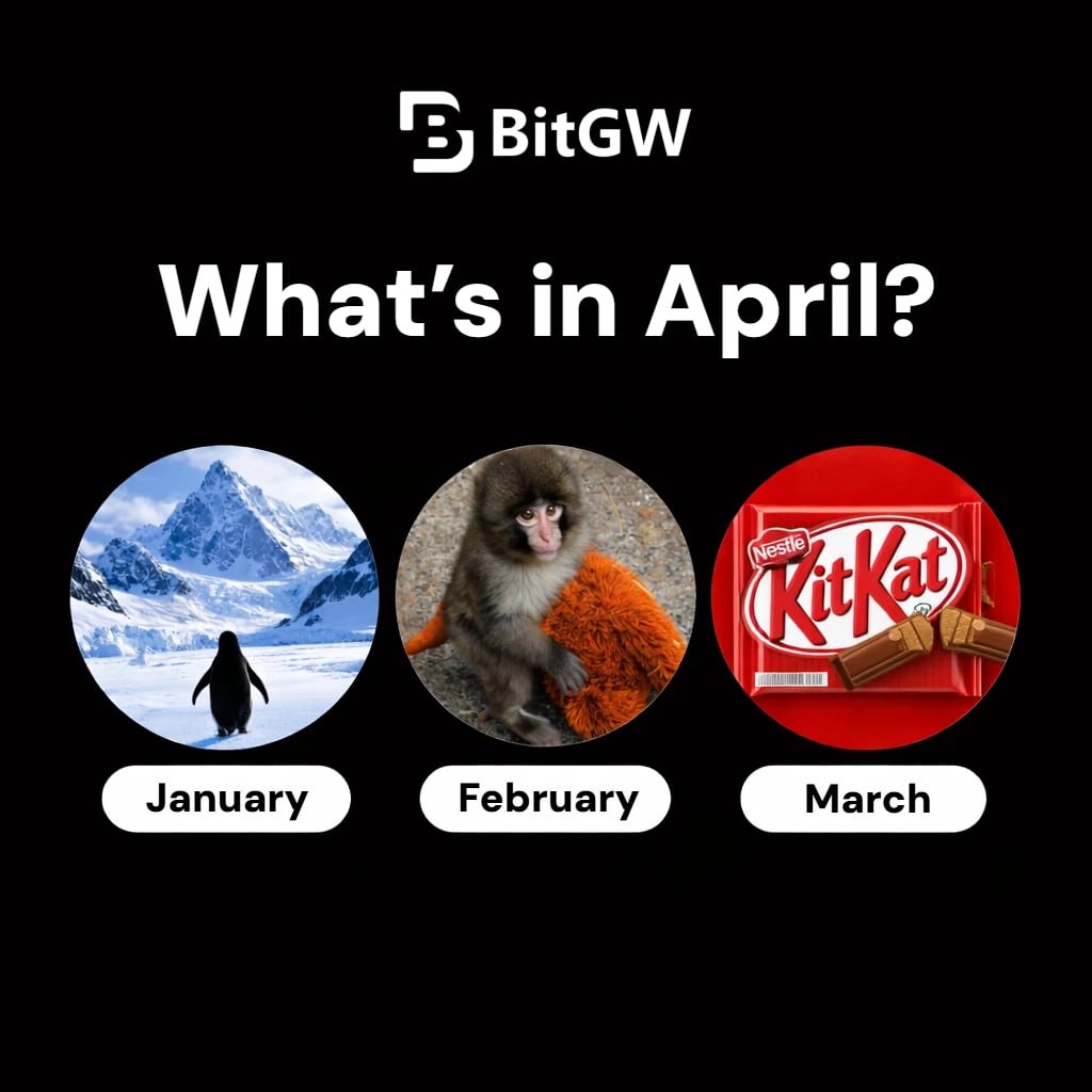 Bitgw Exchange tweet media