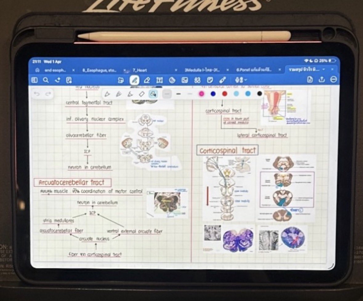 ‎ ชอหอ ⋆.˚ 🍅 tweet media