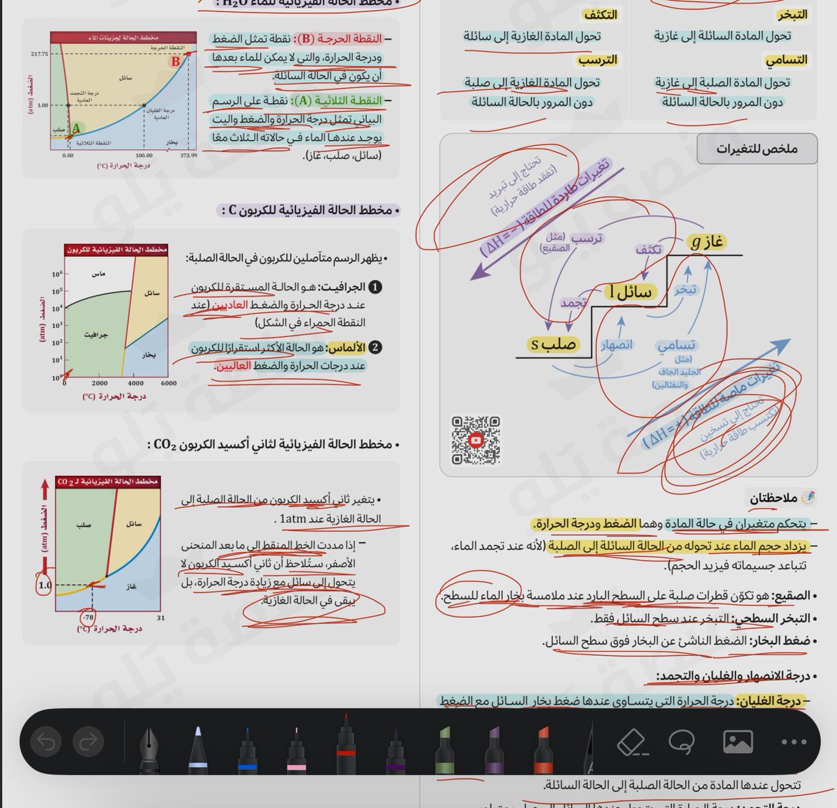 مازن tweet media