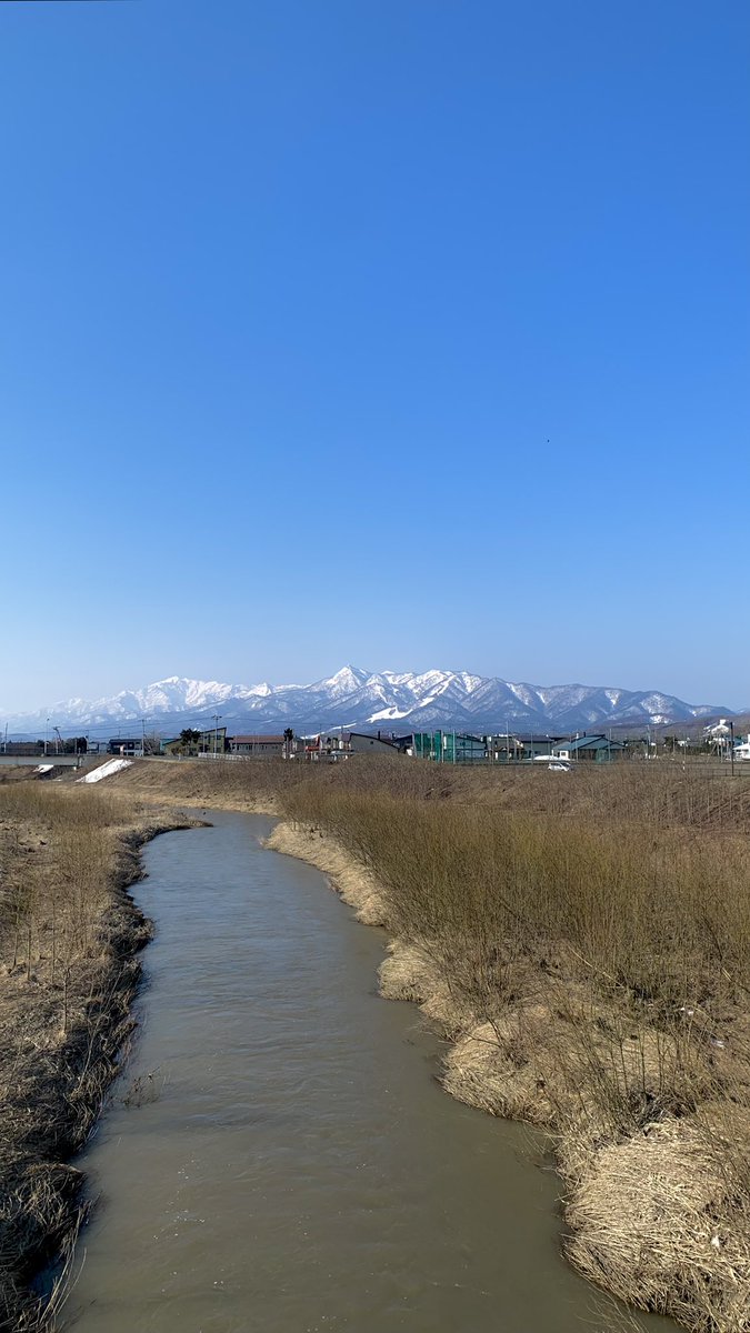 稲葉哲治🍉🏳️🌈🏳️⚧️ tweet media