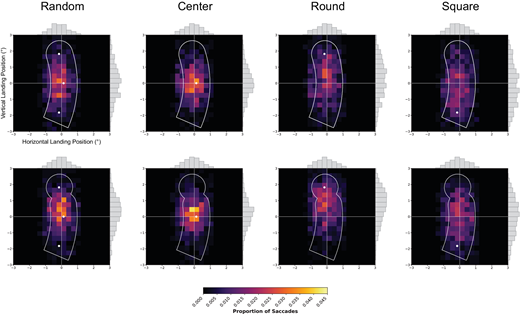 Journal of Vision tweet media