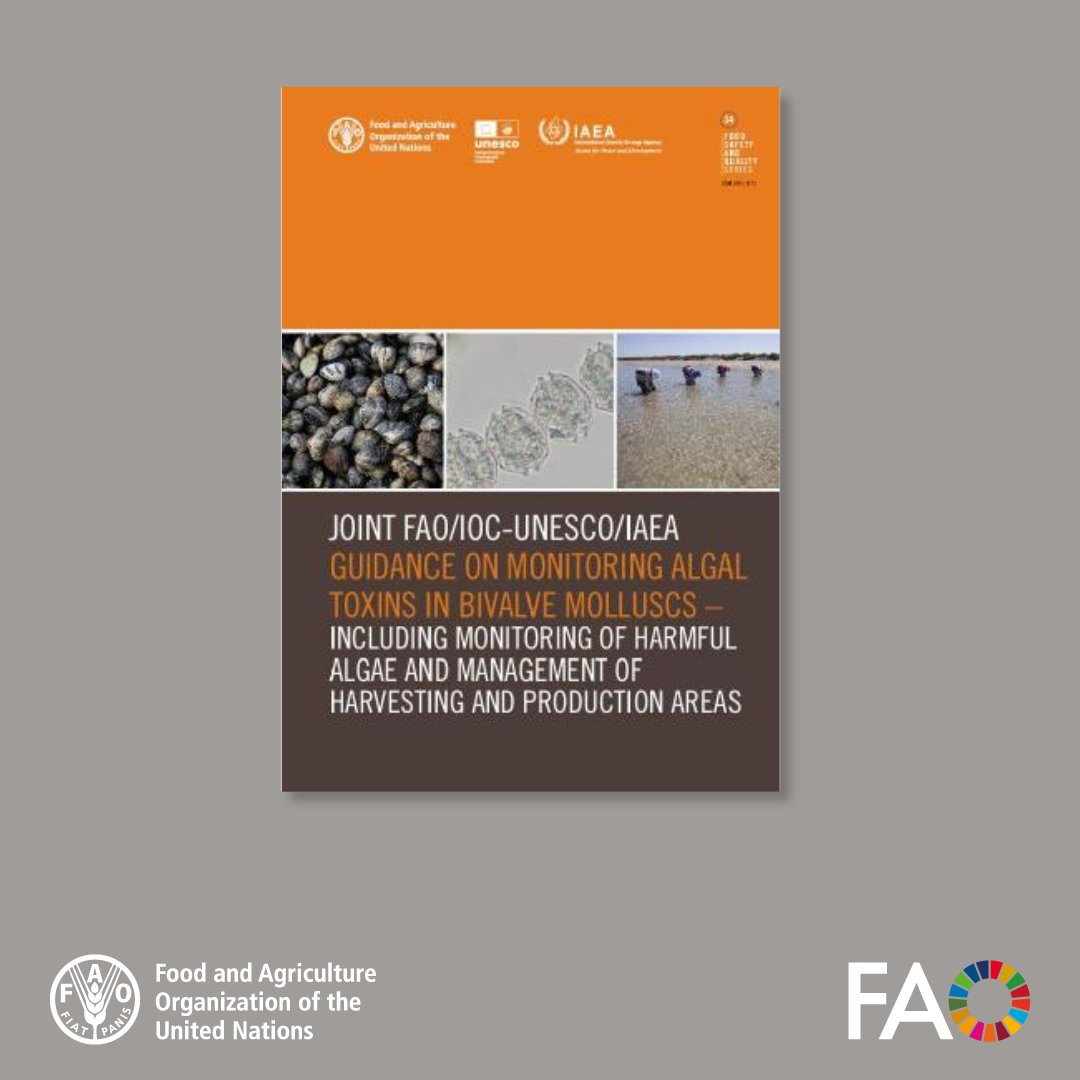 FAO Knowledge tweet media