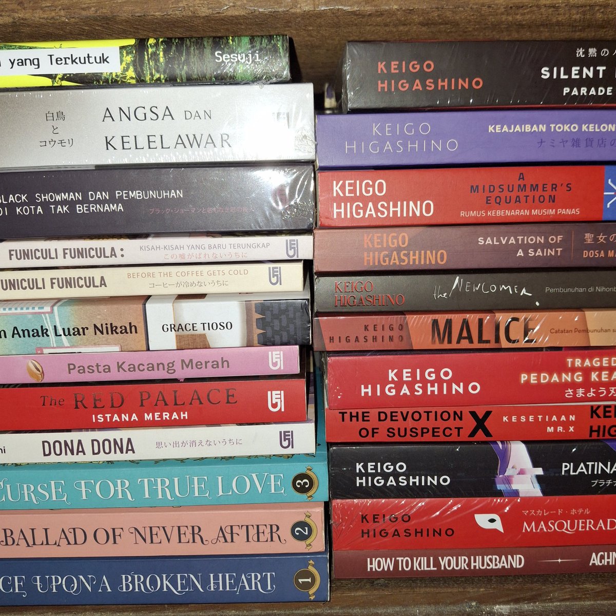 cecew 🐻 tweet media