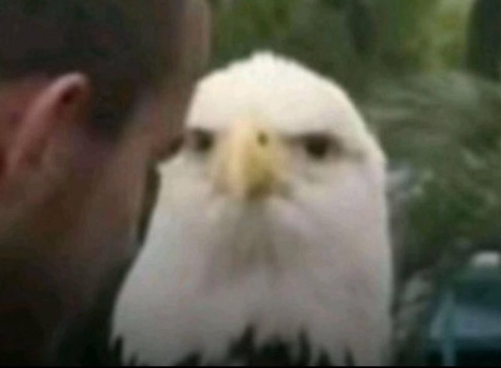 kink ☽☾⋆.˚ ⭒.˚ tweet media