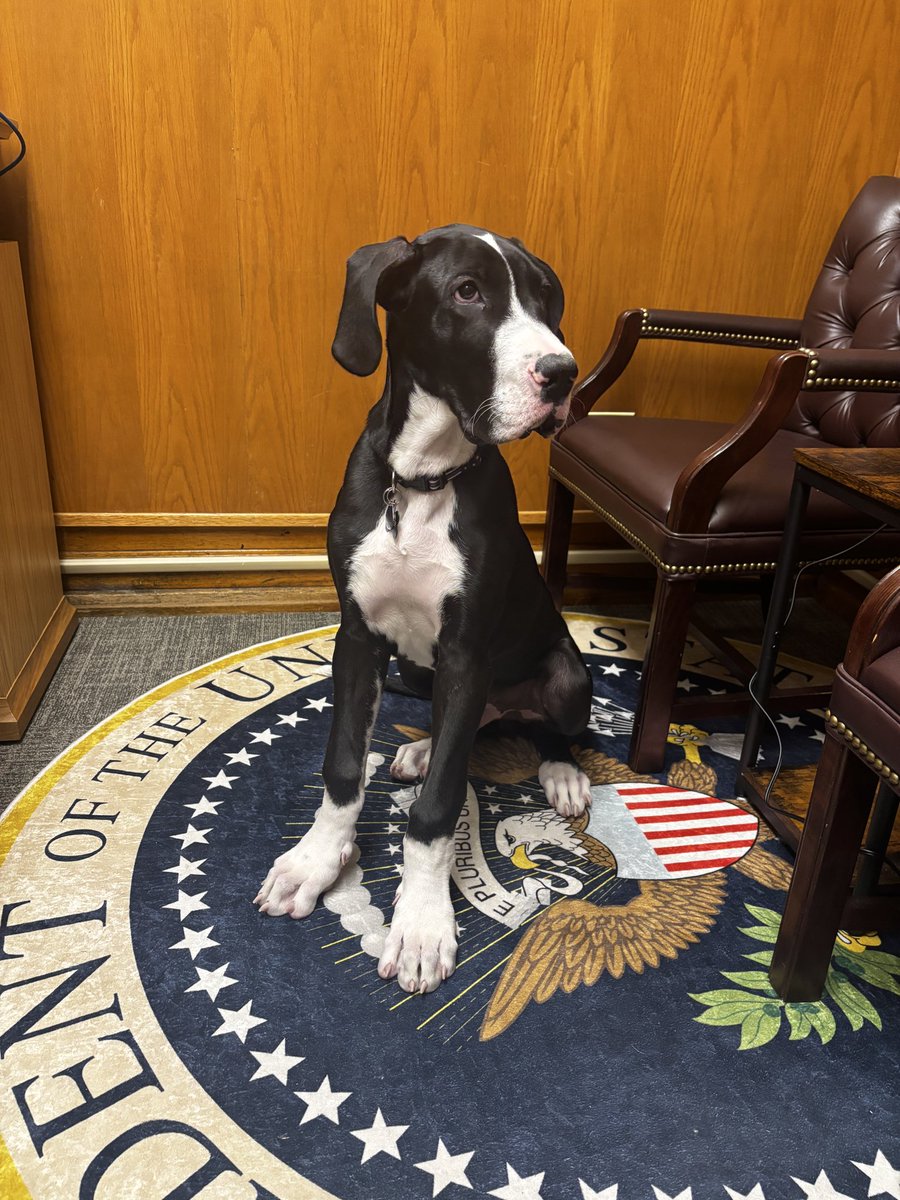 Dan Woog tweet media