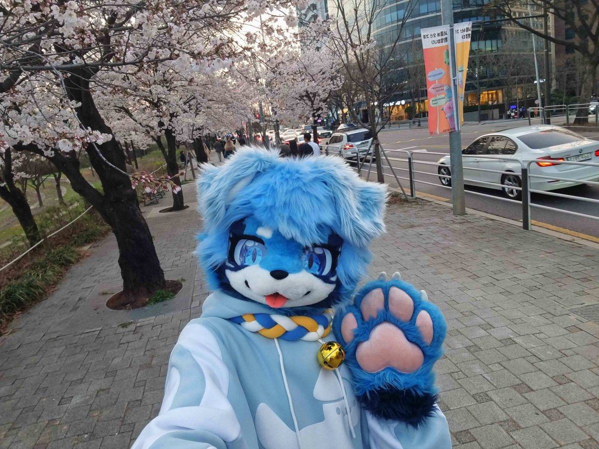 판이_리피 🔜 퍼클~ tweet media