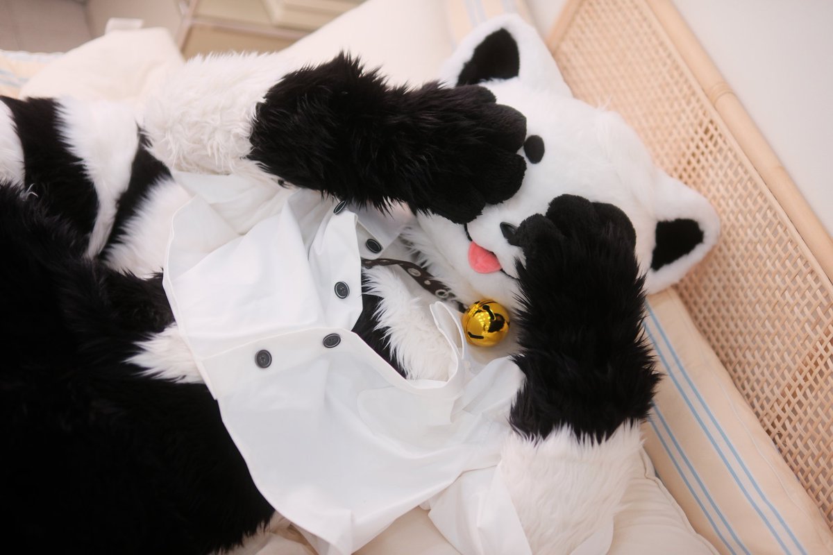 호야(ほや)🔜Furstclass tweet media