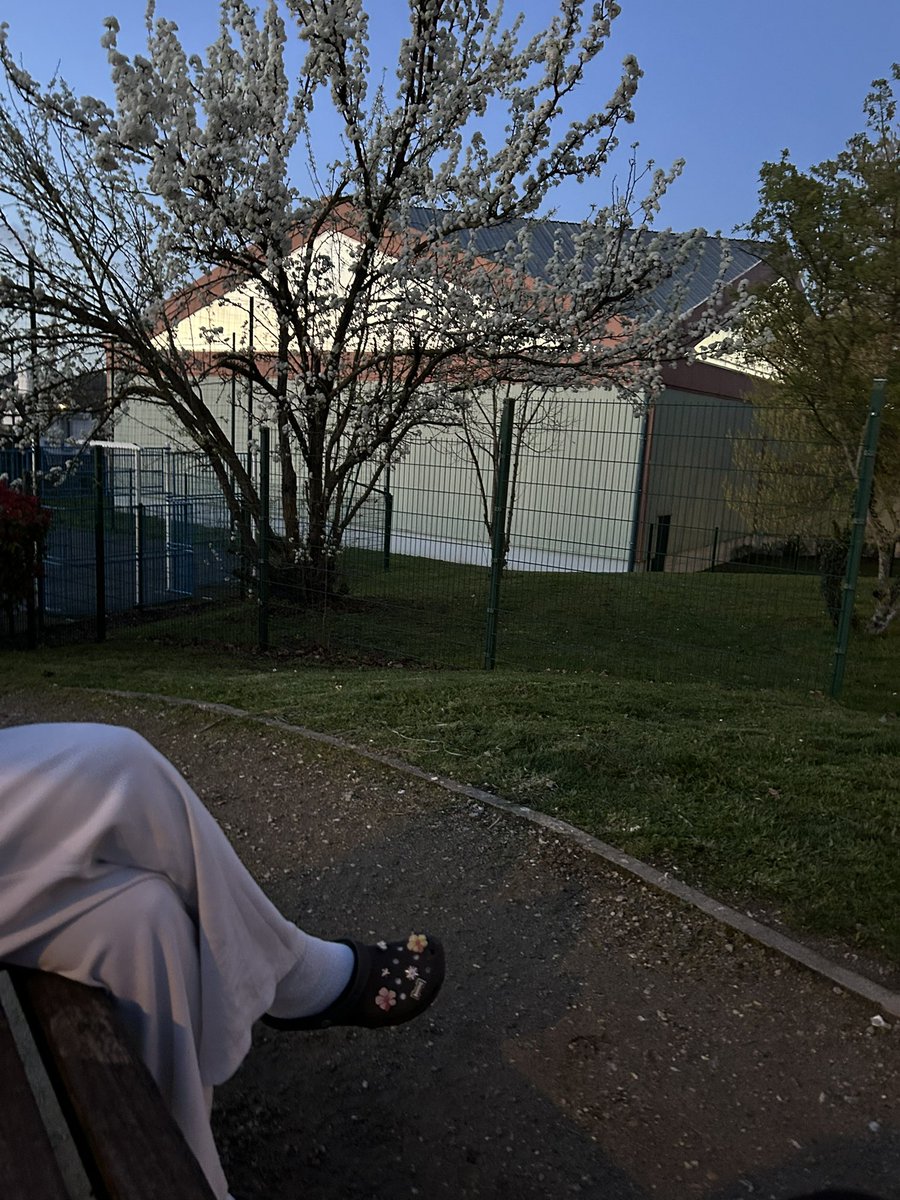 parischlk tweet media