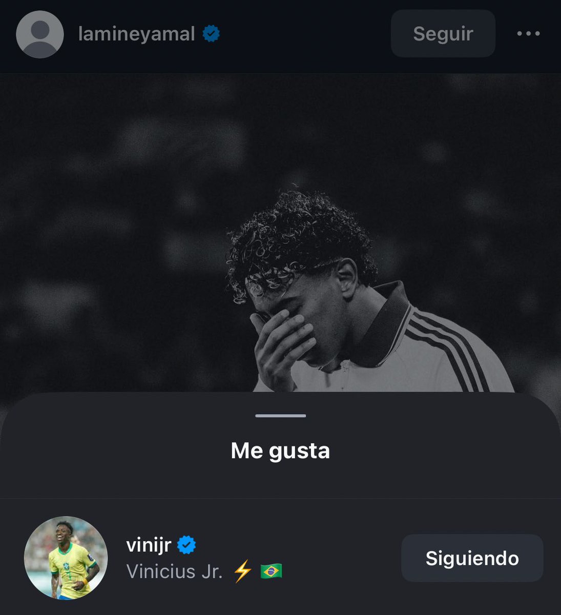 (fan) Mario tweet media