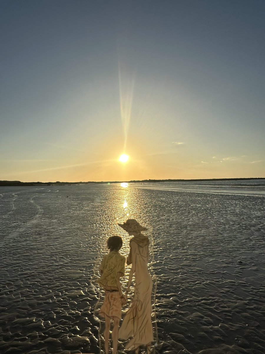 电解金汤力 tweet media