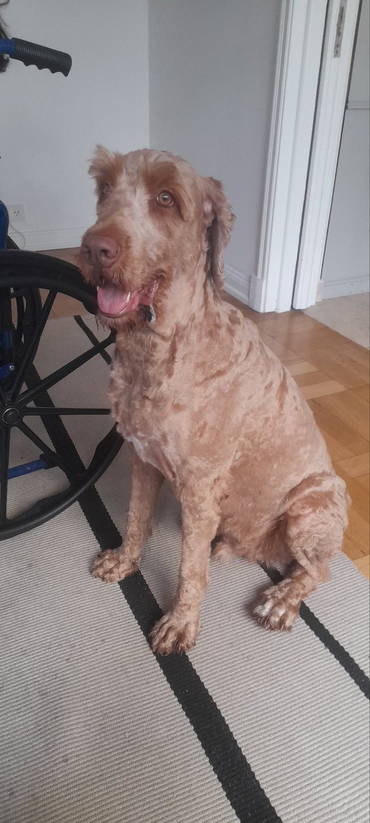 Maria Eugenia🌺💖🎶 tweet media