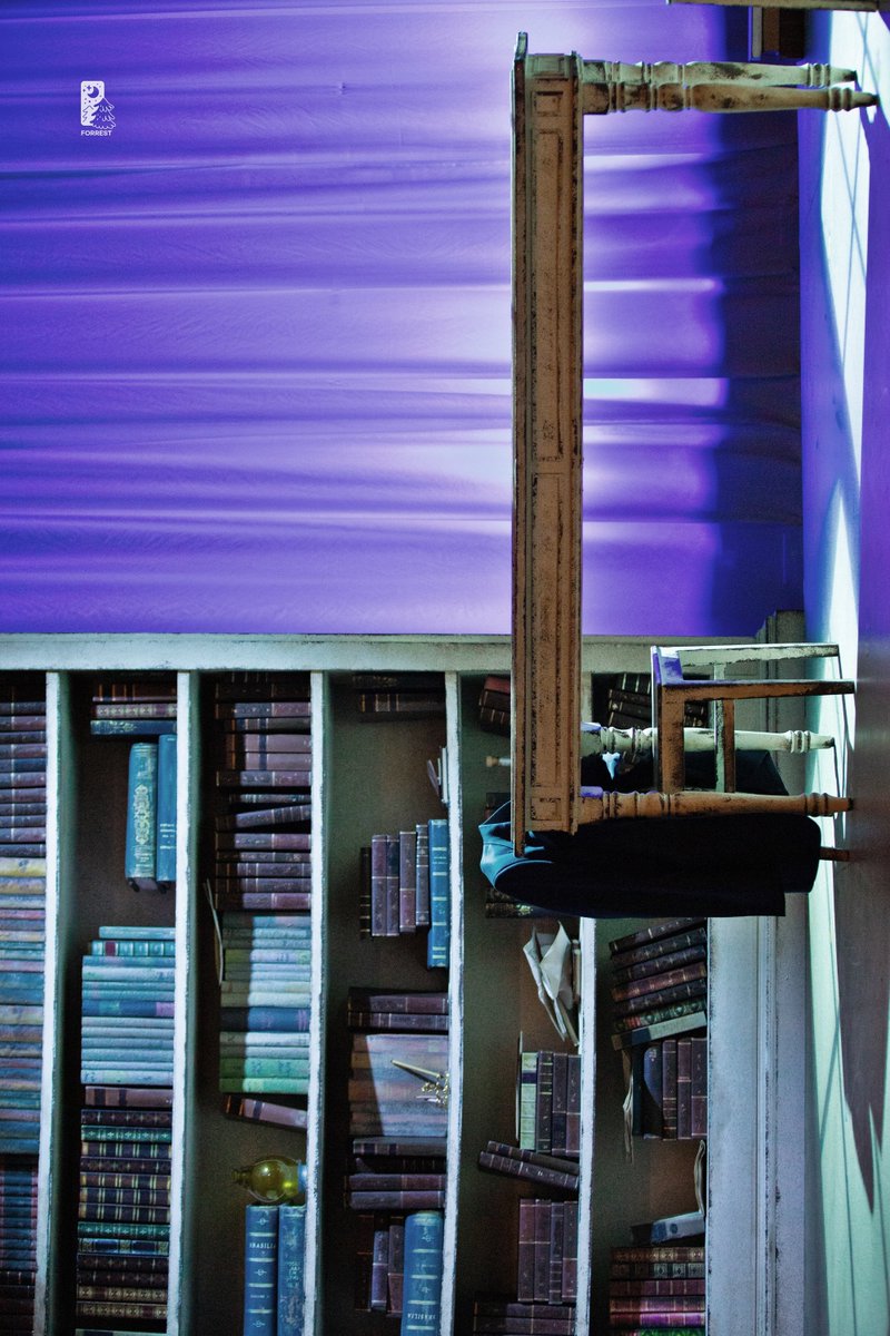 포 레스트 tweet media