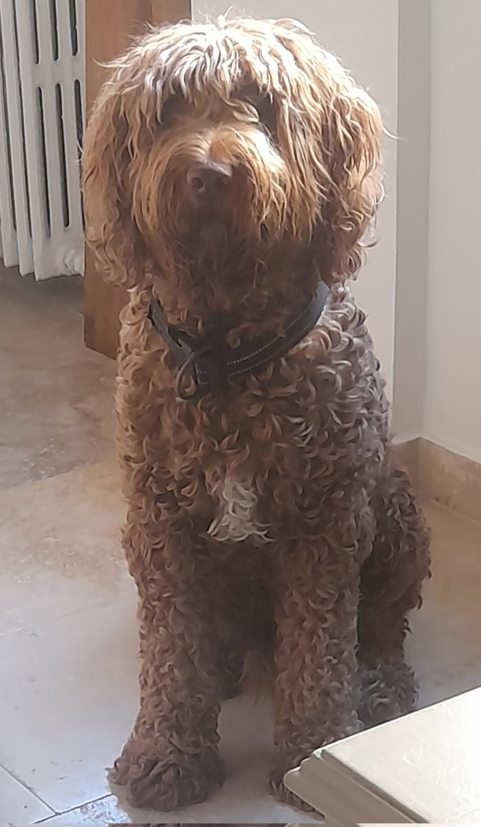 Maria Eugenia🌺💖🎶 tweet media