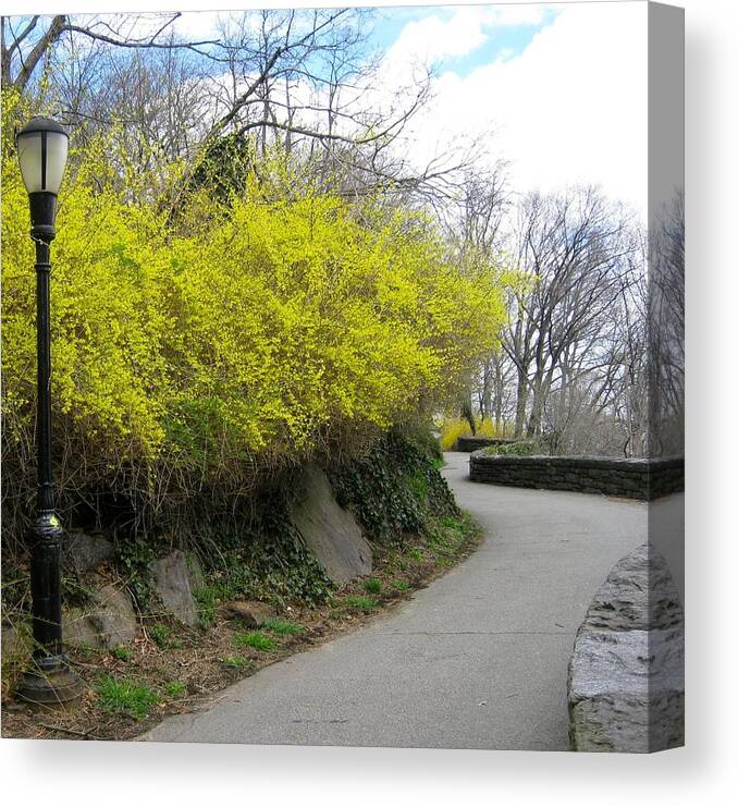 Ydania Ogando tweet media