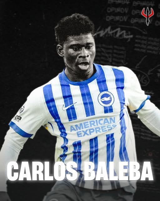 Coatie Rudy tweet media