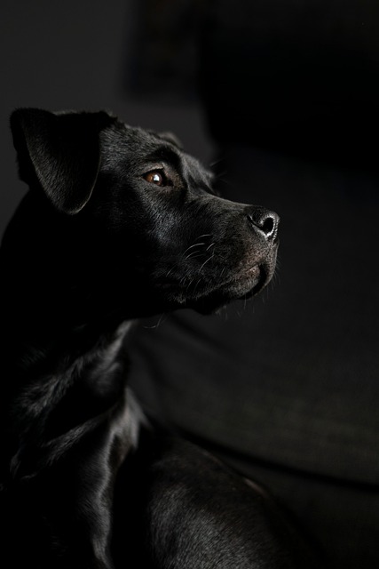 Jasmine Ramirez tweet media