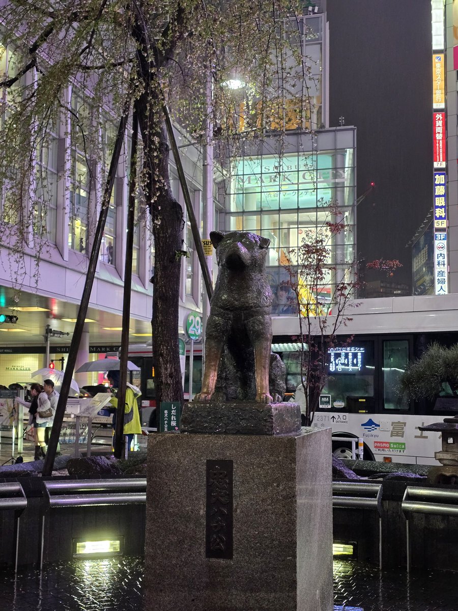 Purnomo, Widyarso J. tweet media