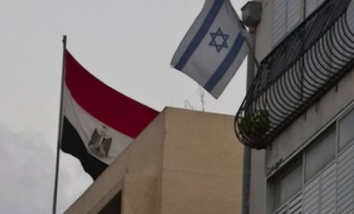 سليم tweet media