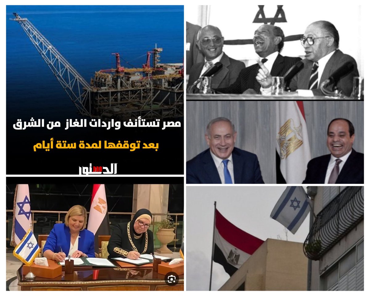 سليم tweet media