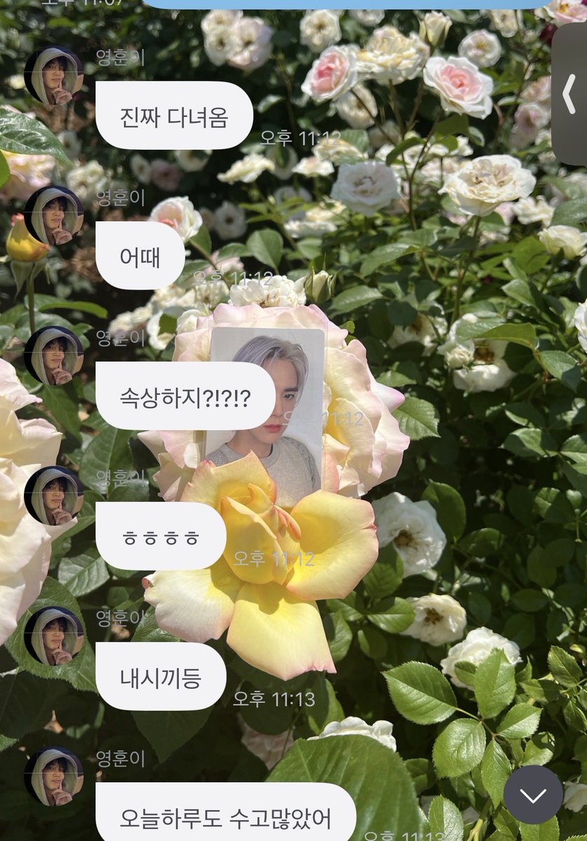 진빵 (막콘감) tweet media