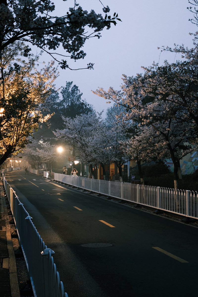 Dropkeyboard_'s tweet photo. 🌸 https://t.co/GxZn2b5TTo