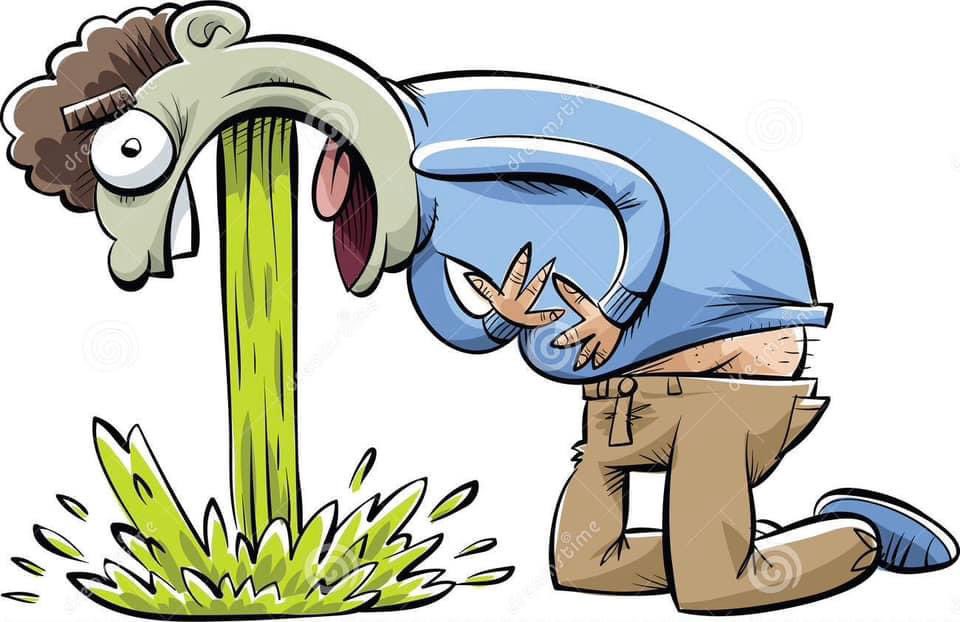 Dave S 🦧 tweet media