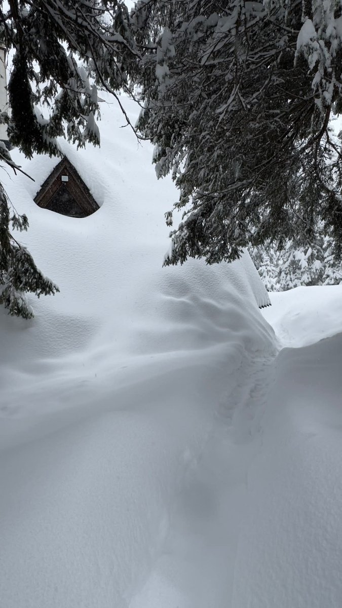 meteoprognoza.pl🇵🇱 tweet media