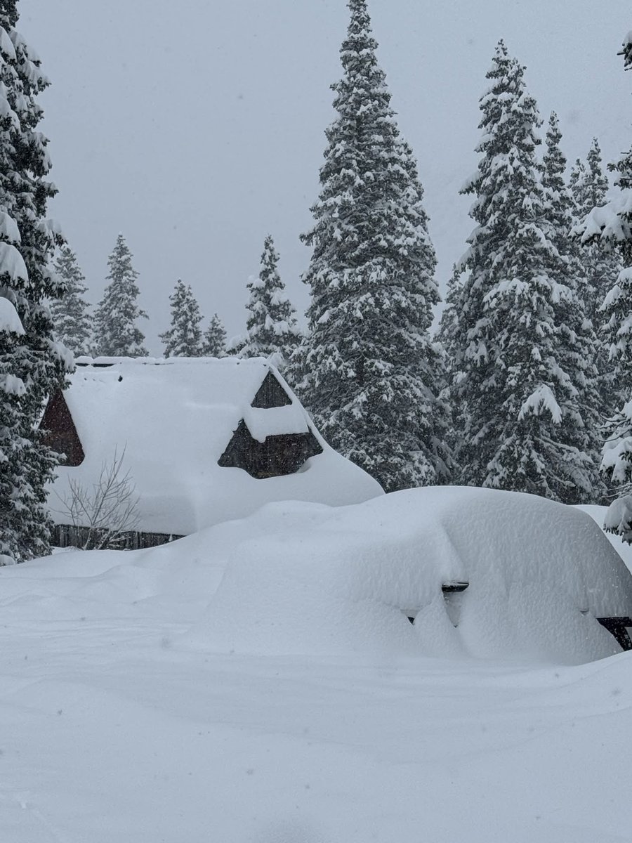 meteoprognoza.pl🇵🇱 tweet media