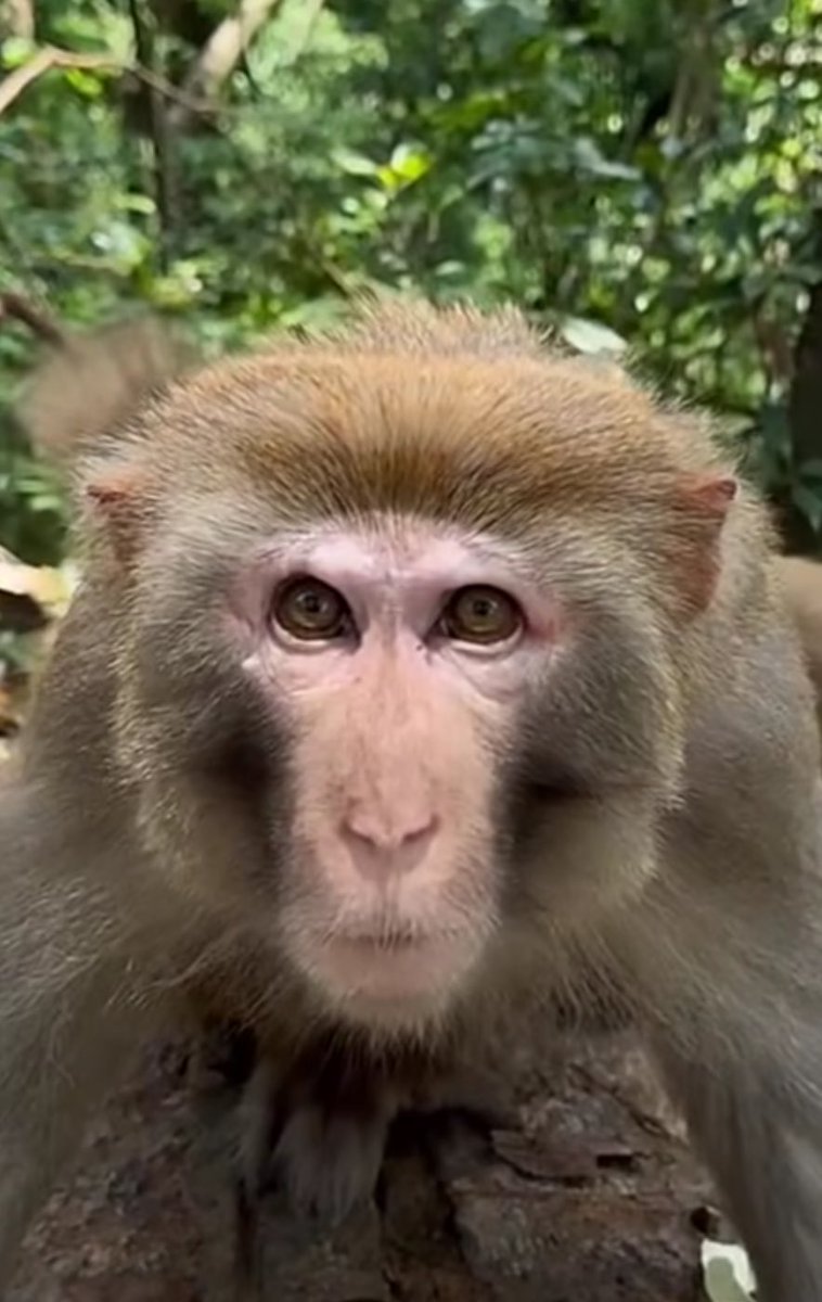 Jonathan Hayes tweet media