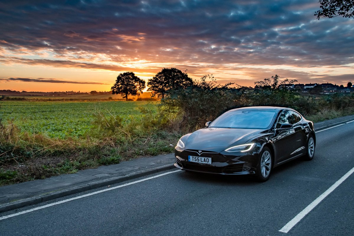 Dr Tim Pearce tweet media