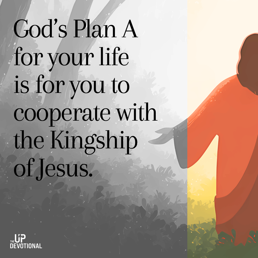 Matthew Ruttan tweet media