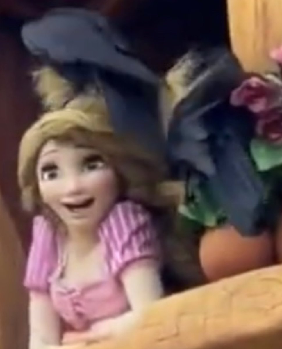 ⛧⃝𓄃 ☿ /•᷅•᷄\੭✞ tweet media