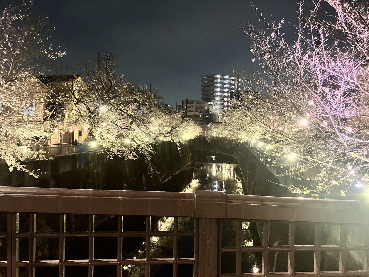 mizu_jun1207's tweet photo. 4月になりましたね

2026年が始まってから、3ヶ月経ったの？？嘘でしょ！？
と言う思いはあるけど・・・

今日は雨だったけど、少しずつ暖かくなってきてて助かる

さて、新年度
頑張っていきましょー https://t.co/VlrZ9x8cpx