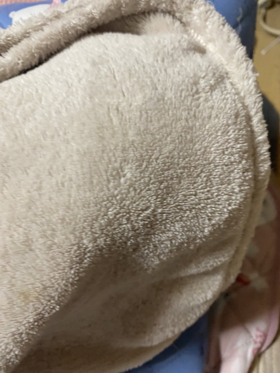死神クロス tweet media