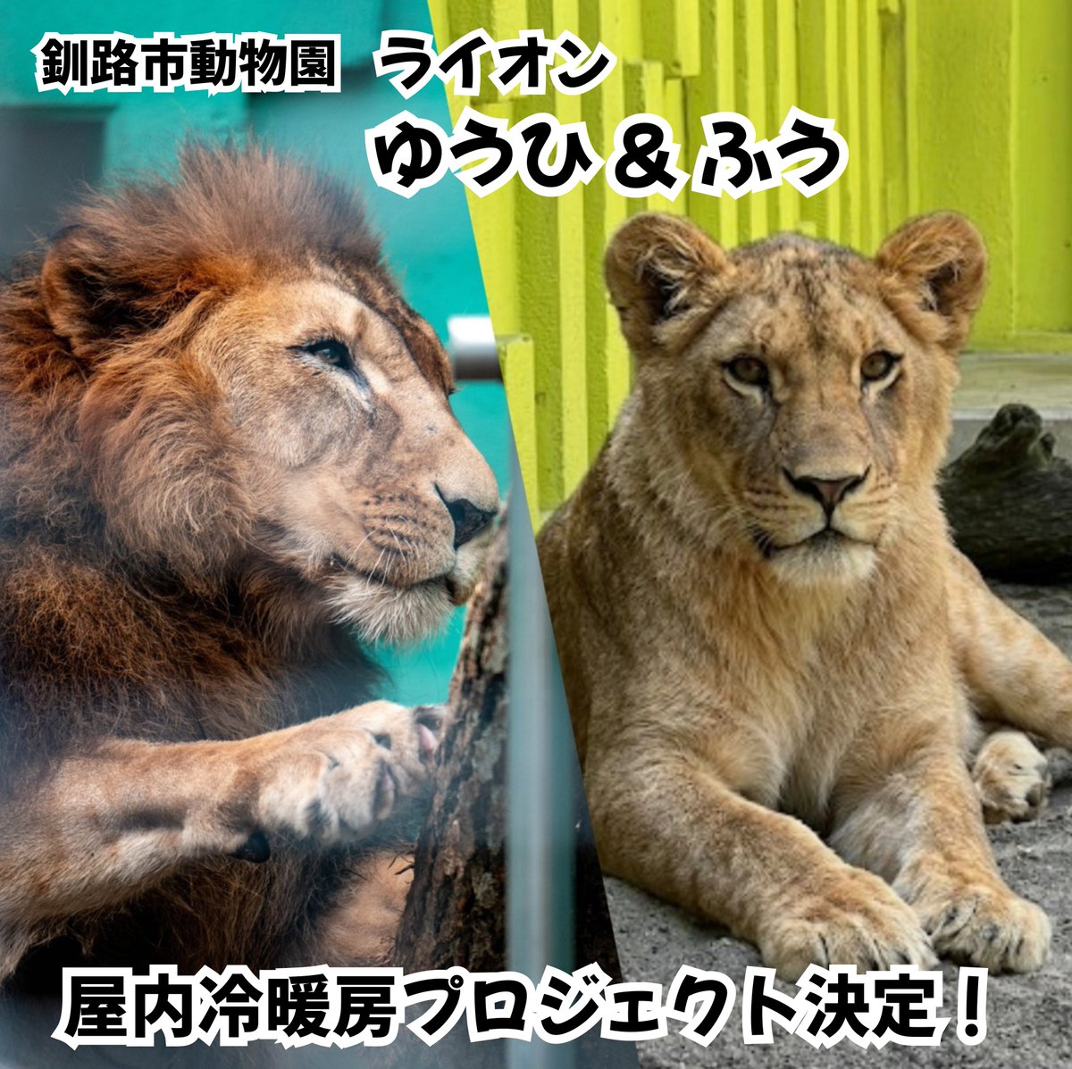 一般社団法人　ZOOTOMOのWA基金 tweet media