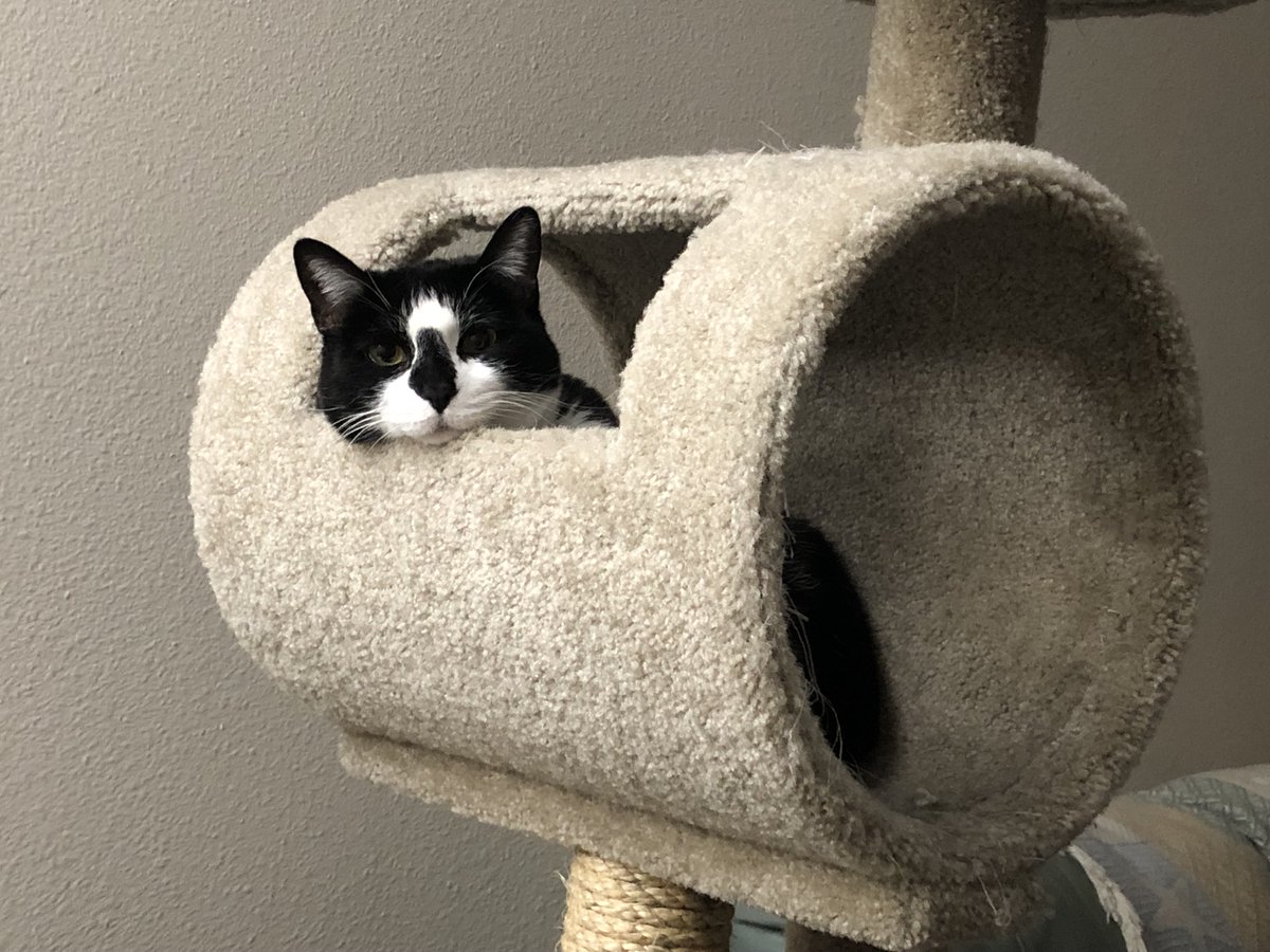 Michael Coates 🇺🇸🌊🌊🌊🌊🇺🇸🌊🌊🌊🌊🇺🇸 tweet media