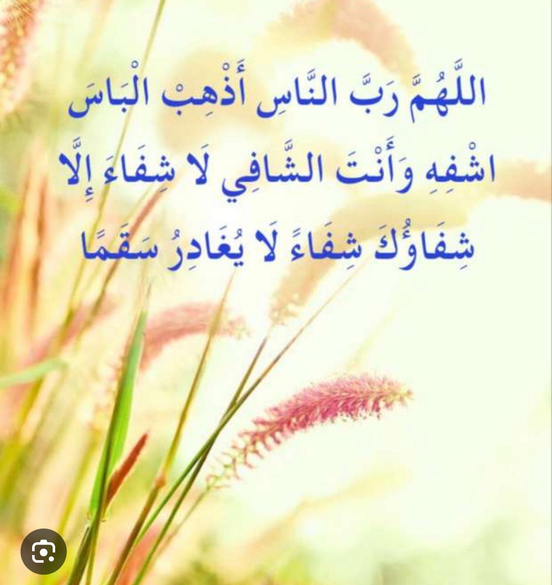 Qatar Press tweet media