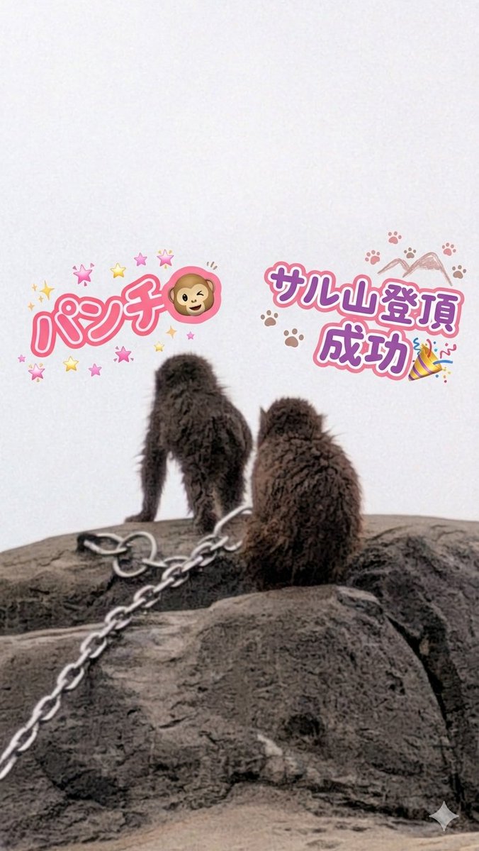 まや子 tweet media