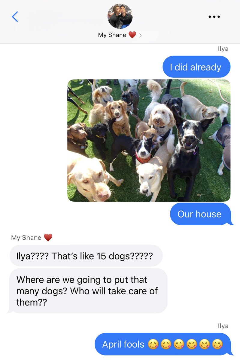 rose 🥀 tweet media