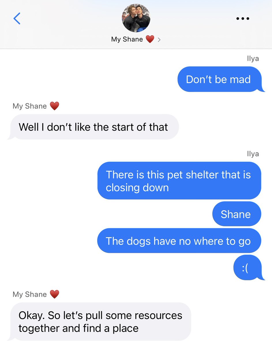 rose 🥀 tweet media