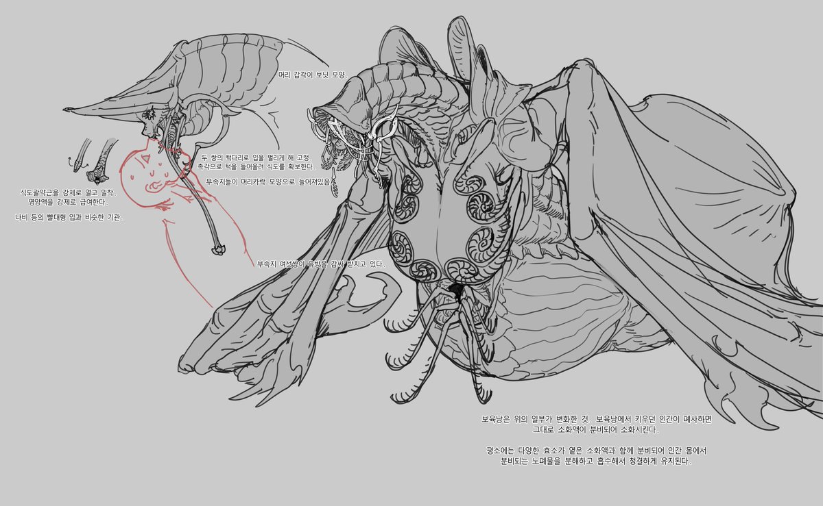 이종족프린세스☁️ tweet media