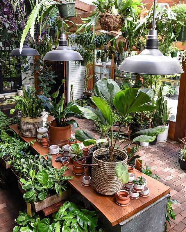 𝐏𝐡𝐢𝐥𝐢𝐩 tweet media