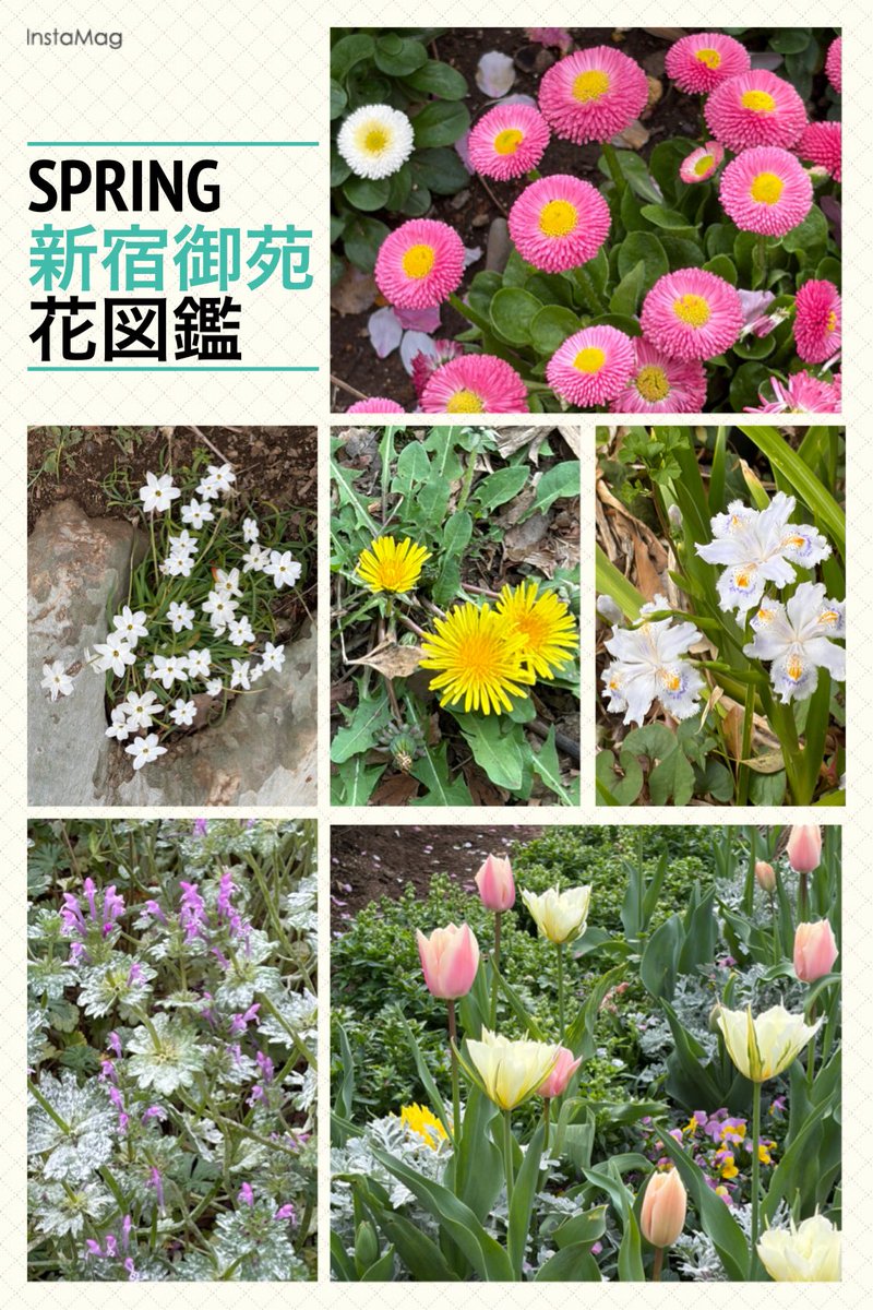 schazzie tweet media