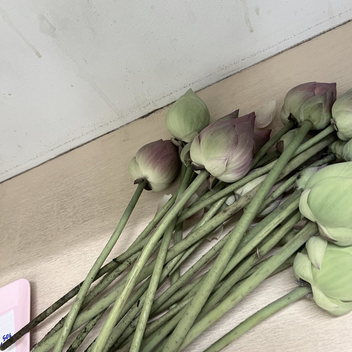 เจ๋ง tweet media