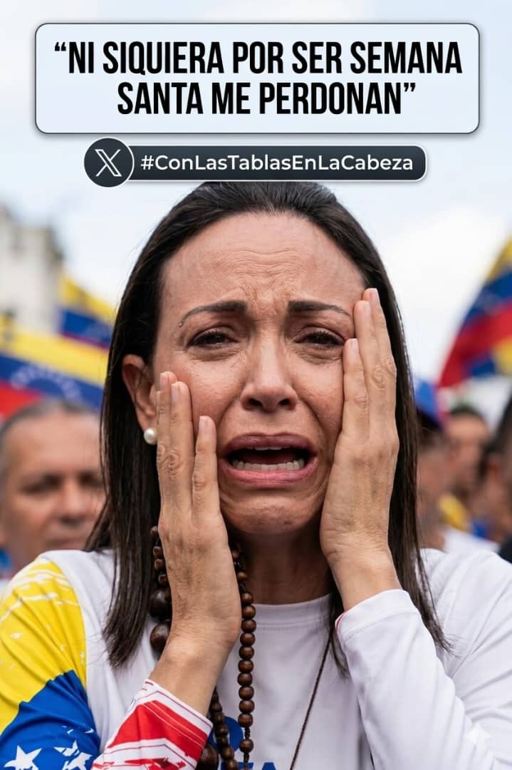 🌻Joha Dávila 🌻 tweet media