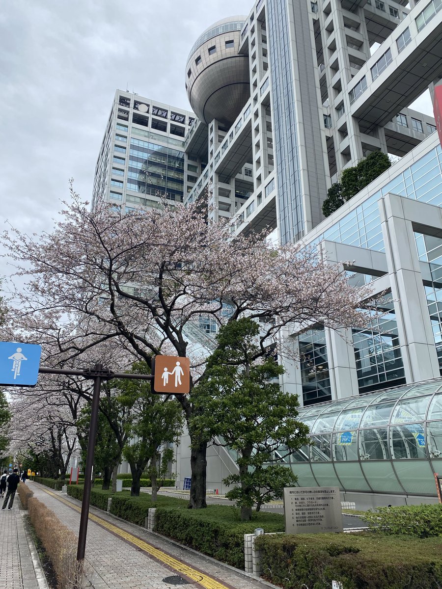setolog's tweet photo. 2026年4月1日 水曜日 34歳になりました🌸

今年も本当に多くの方々から祝福と激励の温かい言葉やメールを沢山頂きました✨
皆様本当に本当にありがとうございます！34歳も出演告知があり応援お願い致します！

#エイプリルフール #エイプリルフール2026 #エープリルフール #四月一日 #４月１日 #誕生日 https://t.co/tl4e29cJWX