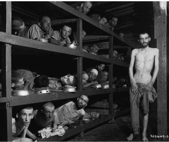 Evan 🏛️🪶🌹 tweet media