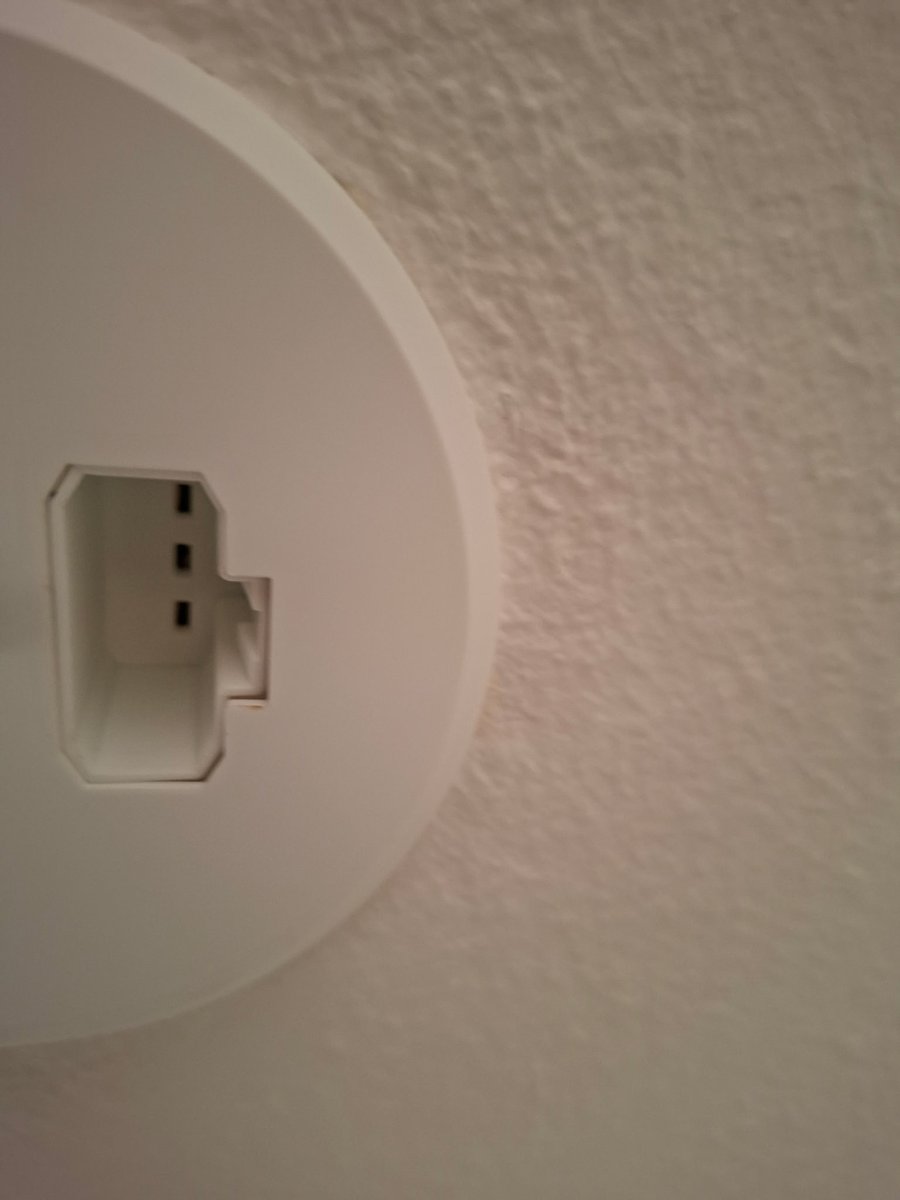 Gustav Frigolit tweet media